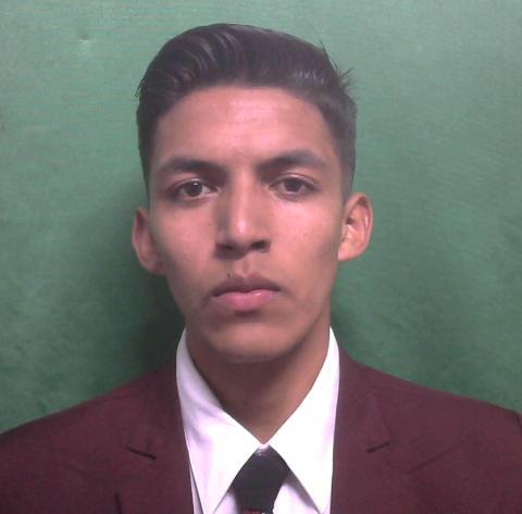 User Image