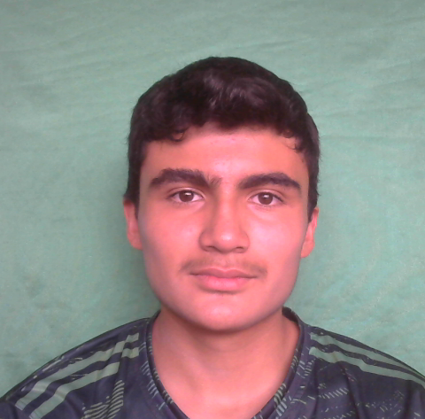 User Image