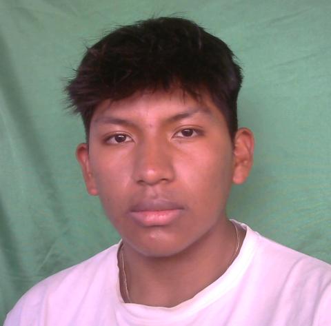 User Image