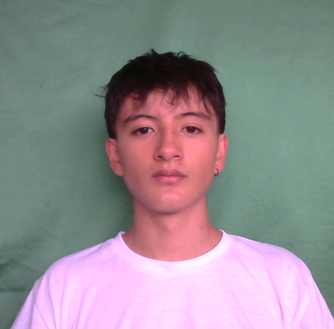 User Image
